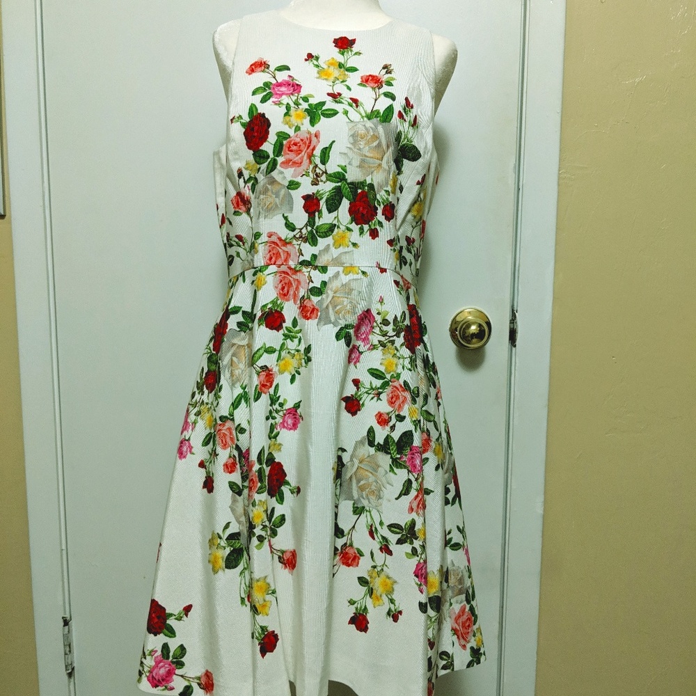 NWOT Floral Rose Pinup Spring Dress w/ pockets